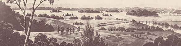 Emu Plains from 'Lucasville' NRS16407-1-1[6]_[Opp-p36]